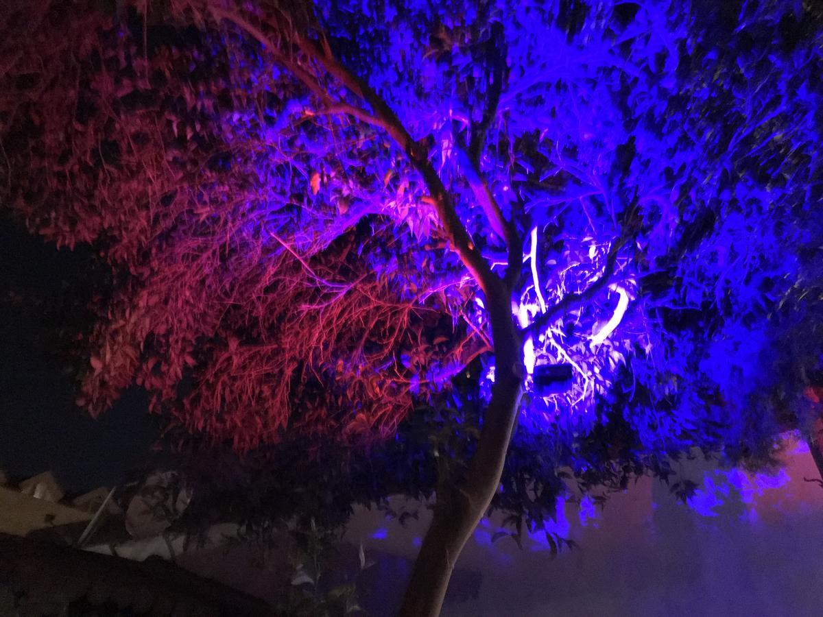 Kemer Manastir Hotel المظهر الخارجي الصورة